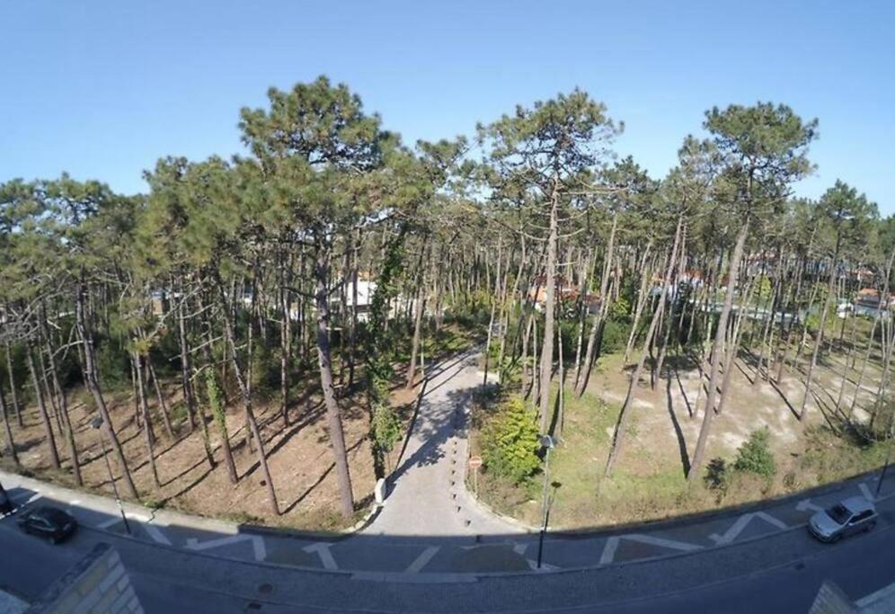 Apartment Sea And Pinewood Ofir