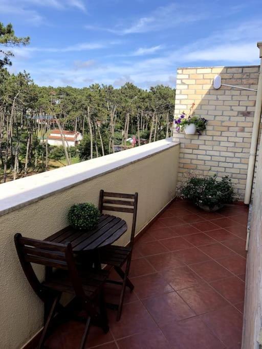 Sea And Pinewood Ofir Apartment *